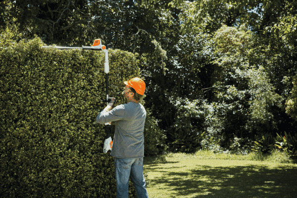 Taille - haie à accu HLA 56 STIHL – Image 4