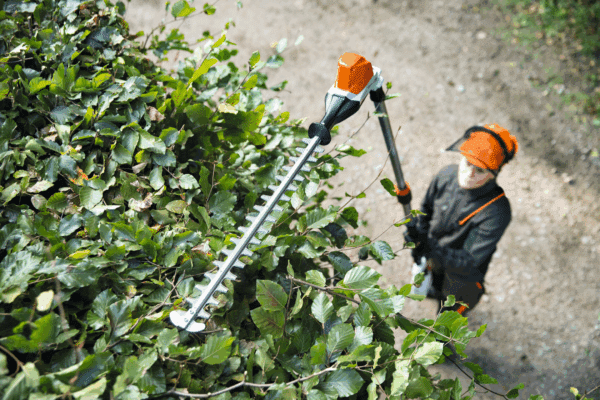 Taille - haie à accu HLA 56 STIHL – Image 3