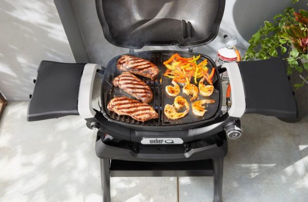 Barbecue à gaz Q 1100 N – Image 4